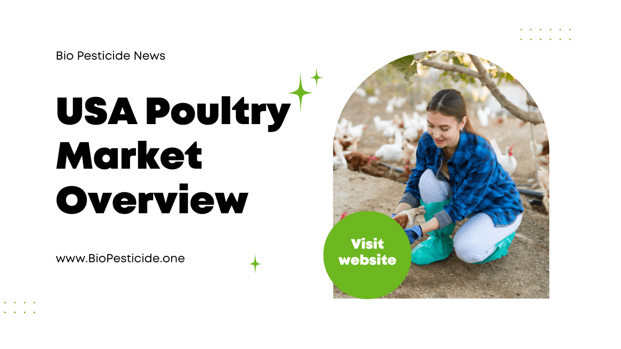 USA Poultry Market Overview