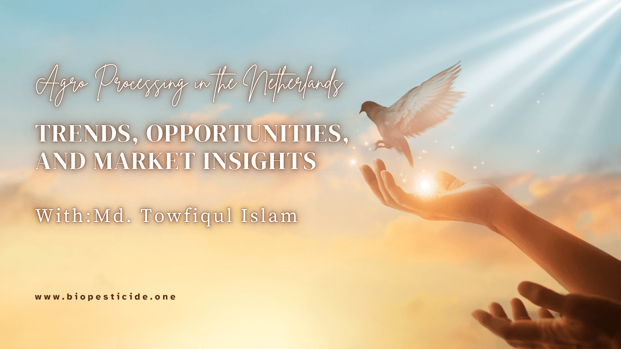 Trends, Opportunities, and Market Insights