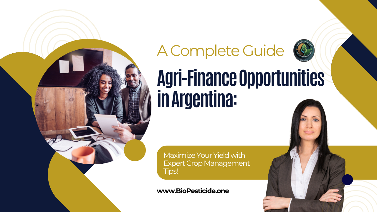 Agri-Finance Opportunities in Argentina A Complete Guide for 2025