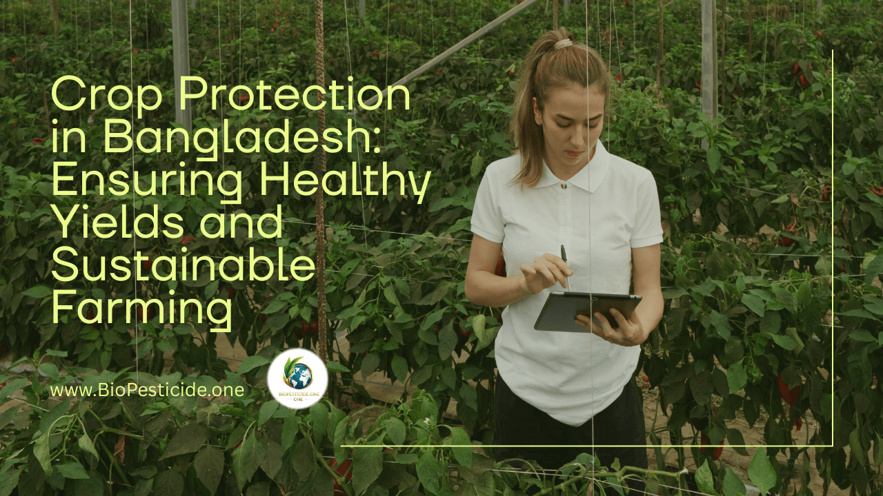 Crop Protection in Bangladesh Ensuring Healthy Yields and Sustainable Farming