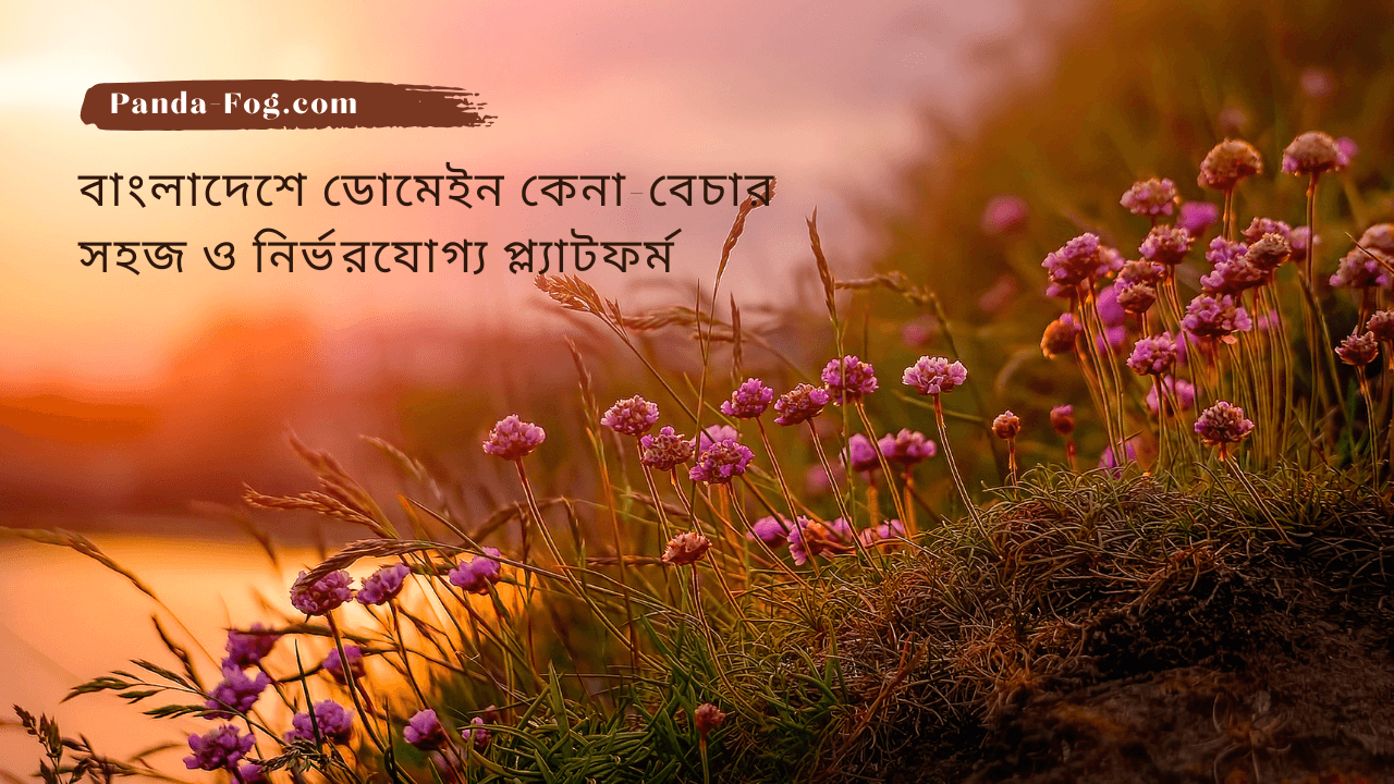 Panda-Fog.com – বাংলাদেশে ডোমেইন কেনা-বেচার সহজ ও নির্ভরযোগ্য প্ল্যাটফর্ম