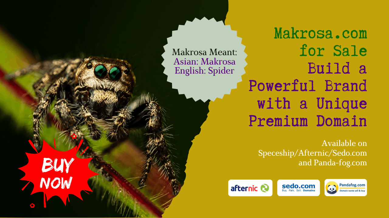 Why Makrosa.com Is a Brandable Premium Domain for Modern Businesses - Read the latest news